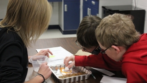 Lewis Central Middle School students use STEM Scale-Up program, "Engineering is Elementary" 