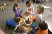 Cowles Montessori Elemntary School students expirement with STEM Scale-Up programs